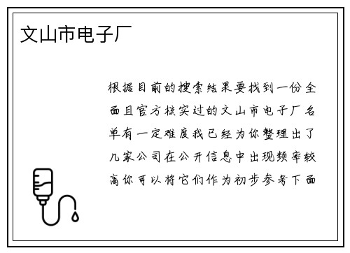 文山市电子厂